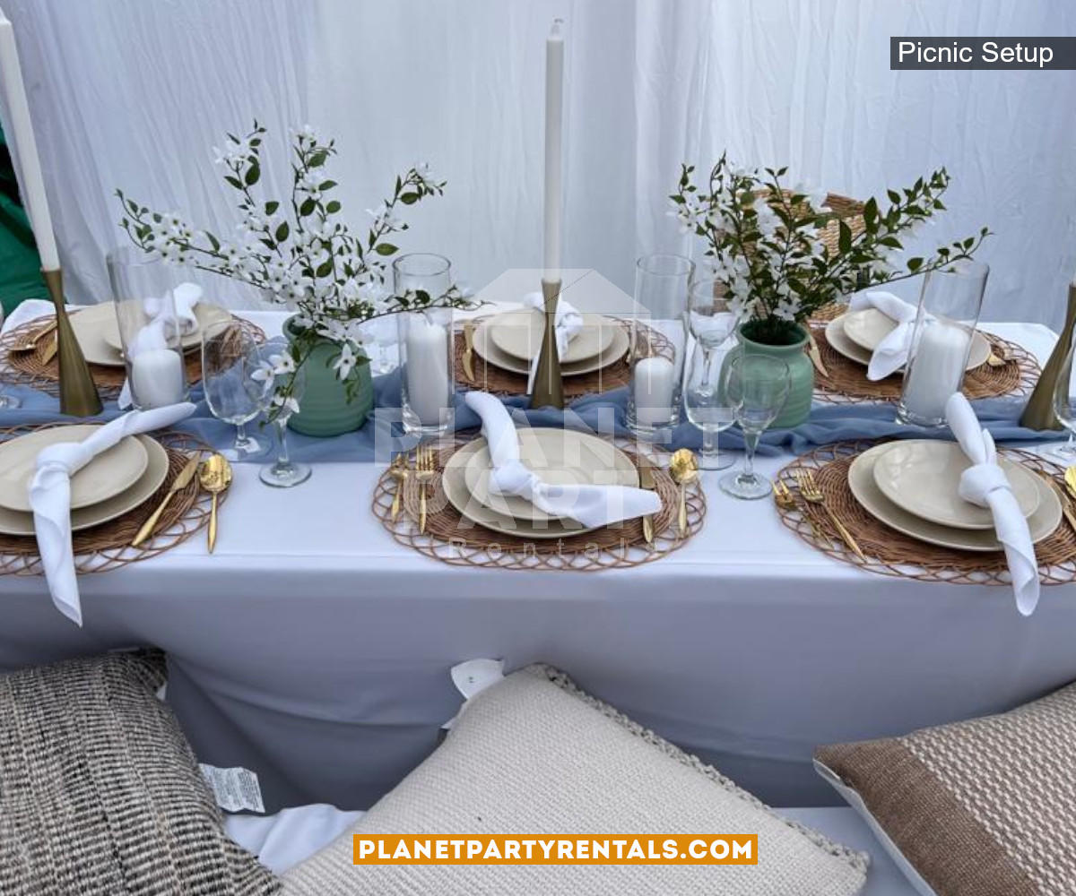 Picnic Event setup with Draped Tent, Pillows, Green Carpet, Wine Cups, Plates, Utensils, Tablecloths and Wooden Backdrop