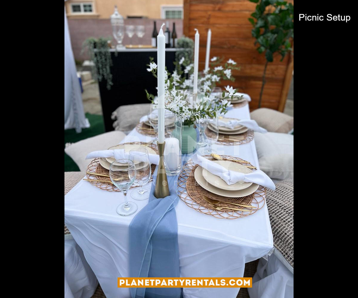 Picnic Event setup with Draped Tent, Pillows, Green Carpet, Wine Cups, Plates, Utensils, Tablecloths and Wooden Backdrop